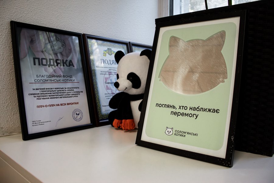 Соломенские котики, БФ Соломенские котики, волонтерские организации Киев