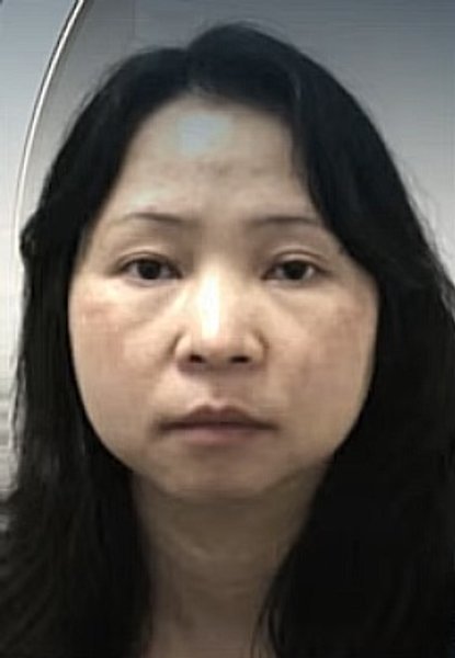 Цзянь Вэнь пособница мошенницы