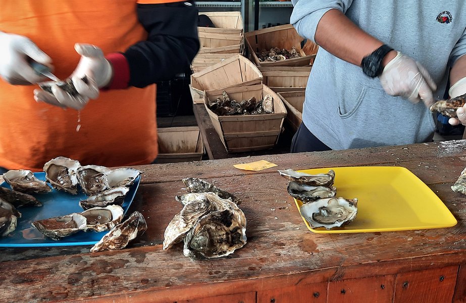 Ферма "Устрицы Скифии": обработка устриц