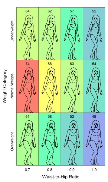 жіноча фігура, ідеальні параметри, талія, стегна