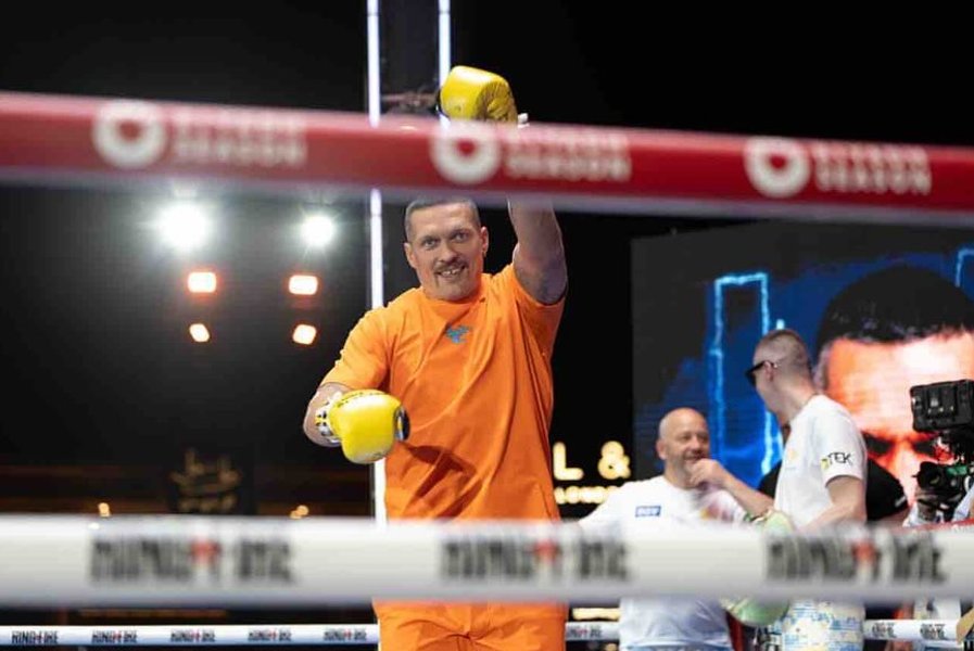 Усик – Фьюри: перед боем