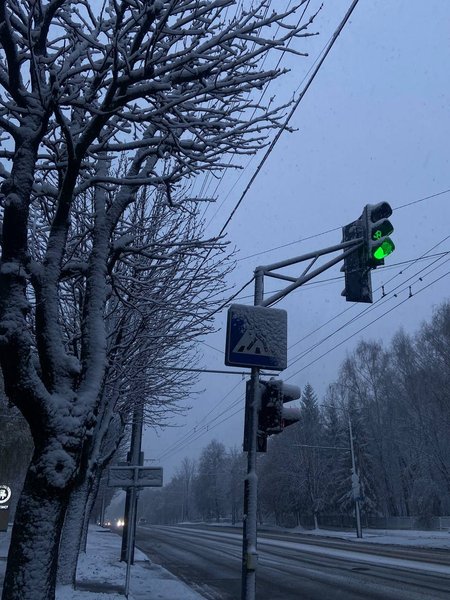 сніг у луцьку