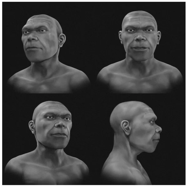 Учёные воссоздали лицо Homo sapiens