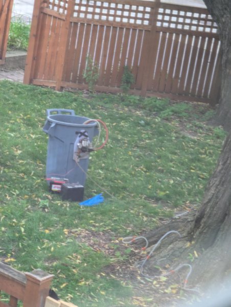 сусід бак дроти дерево