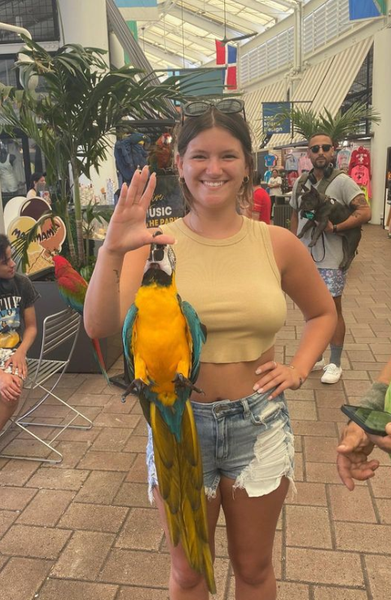 Усыновление ребенка, отцовство, дети, школа, курьезы, шутки, США, фото