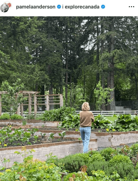 Памела Андерсон вирощування овочів