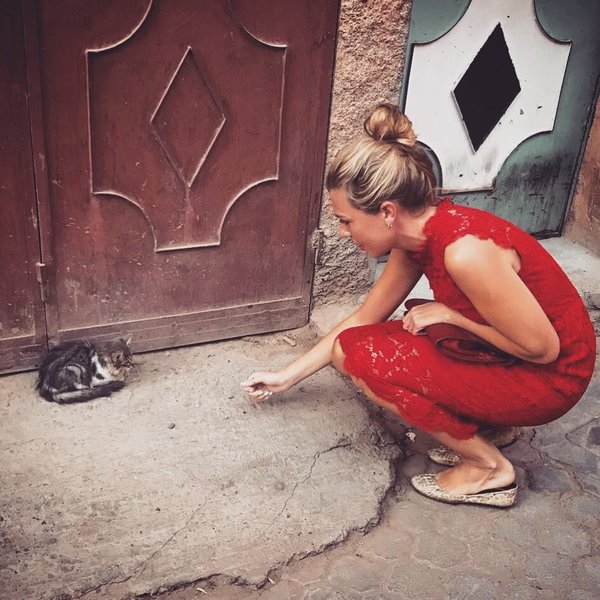 Кэрри Саймондс, защита, животные