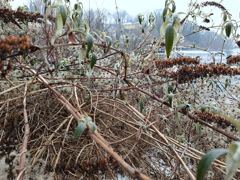 Камера Xiaomi Redmi Note 15 4G Основна камера Xiaomi Redmi Note 15 4G