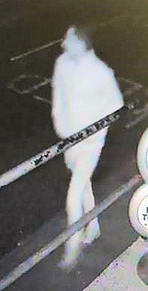 Подозреваемый-призрак