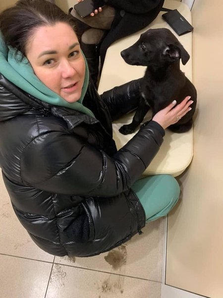 щенок, щенка, избили, киев, киевлянин, шевченковский, дело, жестокое обращение, животные