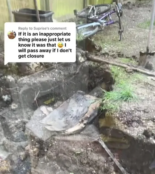 Блогерша нашла ящик в саду, могила собаки, курьезы, находки, видео, тренды TikTok, приколы