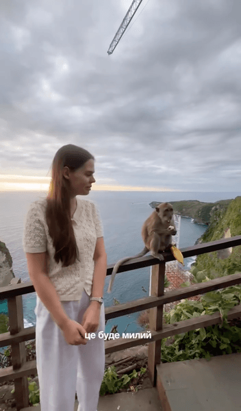 На Балі багато мавп