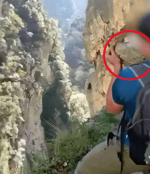 Путешественник отдаст все деньги за брошенный в ущелье камень