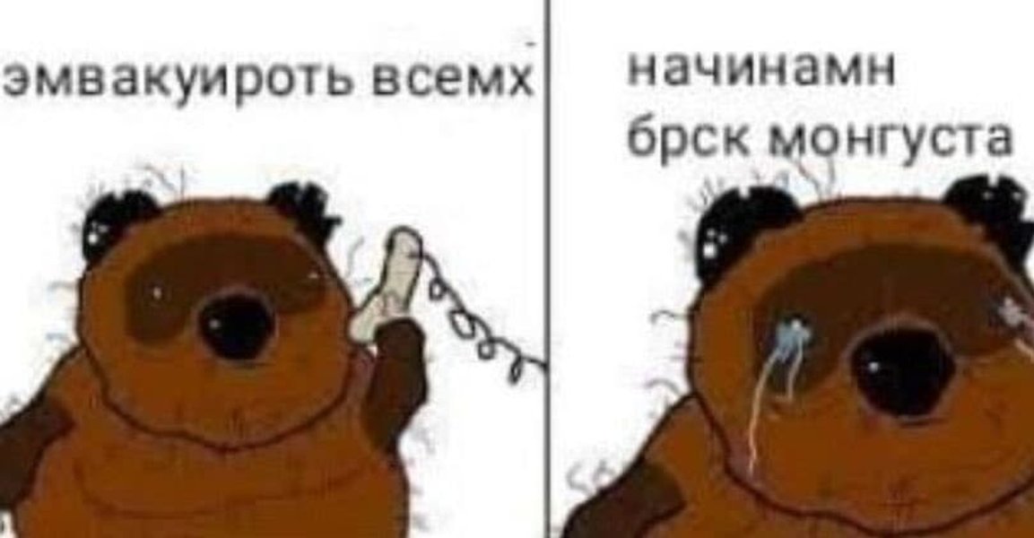 Бросок мангуста