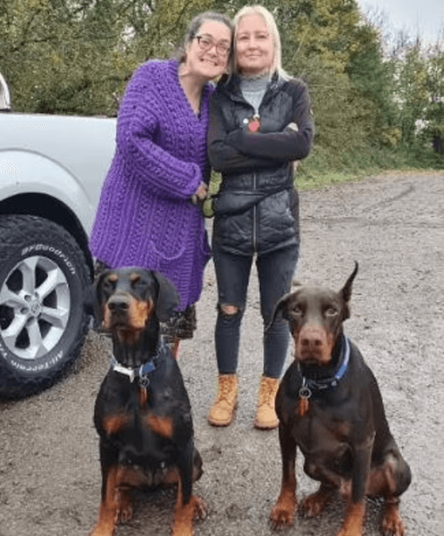 Собаки, люди, доберман, улица, женщины, животные, донор, машина