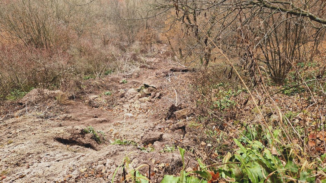 Обвал скалы с водопадом "Девичьи слезы" в Тернопольской области
