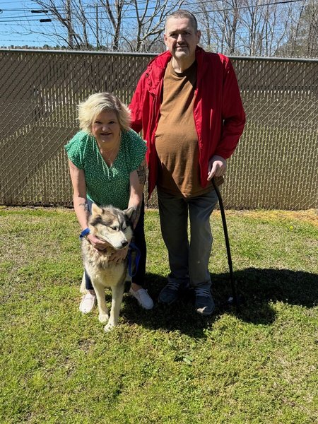 фото возвращения собаки