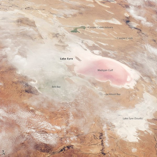 озеро эйр в австралии