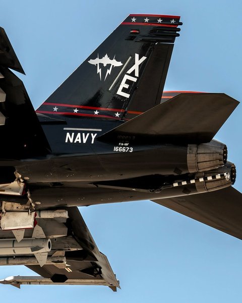 F:A-18 Super Hornet 1