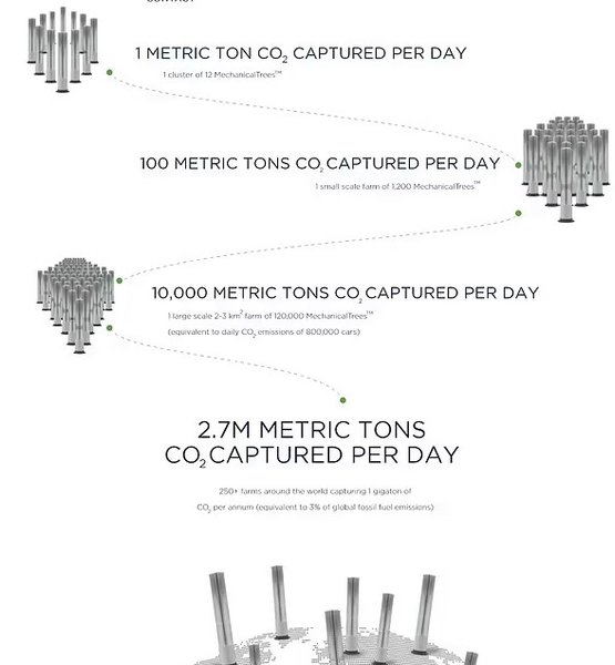 Механические деревья