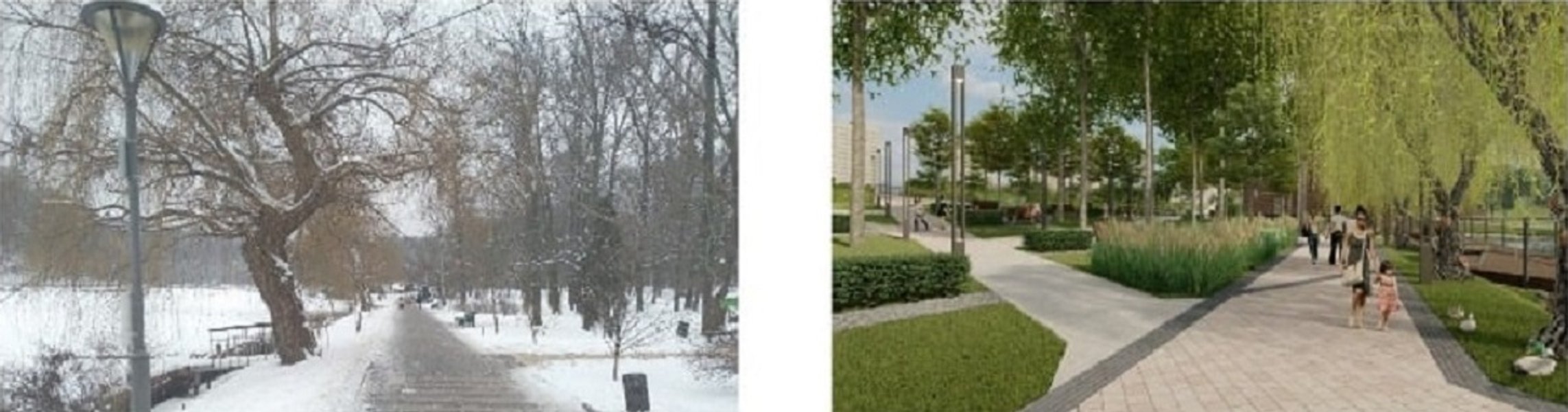 Голосеевский парк, Киев