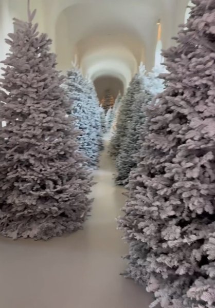 Коледна гора в къщата на Ким Кардашиян Коледа, Ким Кардашиян