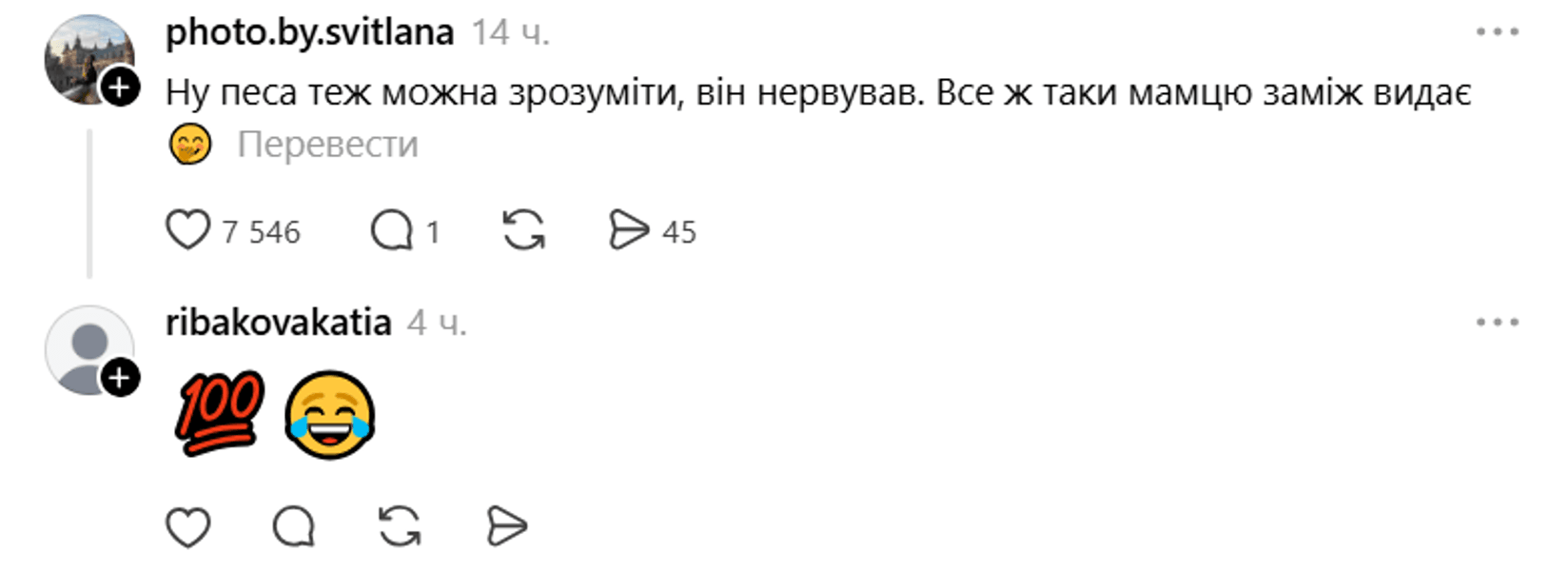 Собака погриз туфлі нареченої