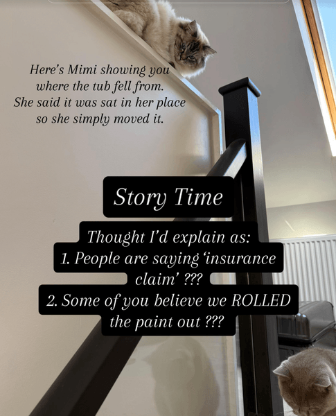 Кішка перевернула фарбу, кішка, кішка бігає по будинку, ремонт у будинку, сильний шум, кішка влаштувала погром, TikTok, домашні тварини,