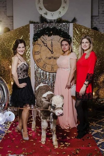 Oriflame, Животные, Фотосессия, Корпоратив, Теленок