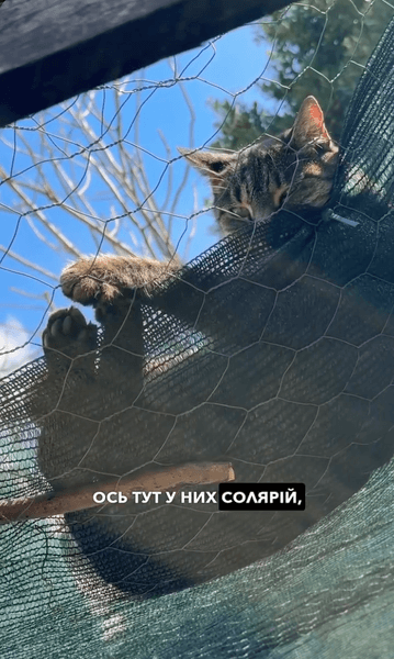 українка купила будинок в італії