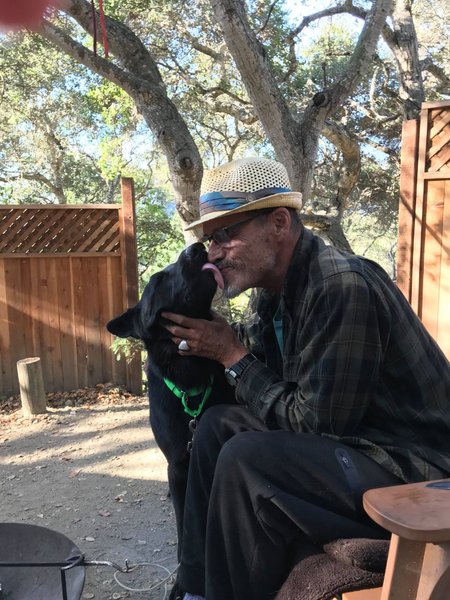 Майкл Надер, собака, Шторм