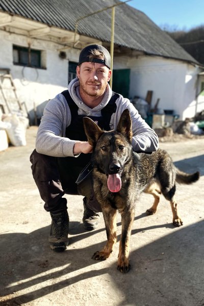 британский ветеран, ветеран том, спасение животных, иностранные добровольцы, иностранный легион, приюты для животных