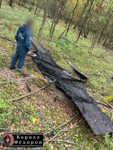 Фламінго уламки в лісі