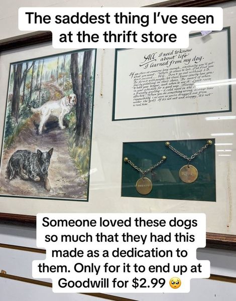 Находка на секонд-хенде, интересные вещи, покупки, раритет, памятная доска, фото, интересности, истории из жизни