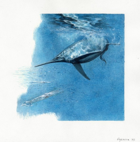 ихтиозавр, морской хищник, море, фото