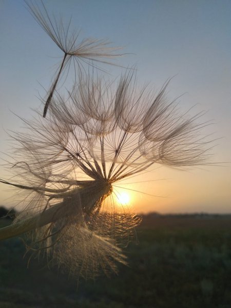 фотоконкурс