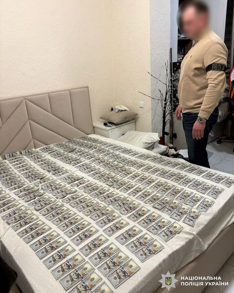 Уся квартира в доларах: мати і син заробили сотні тисяч на "липових" інвалідностях