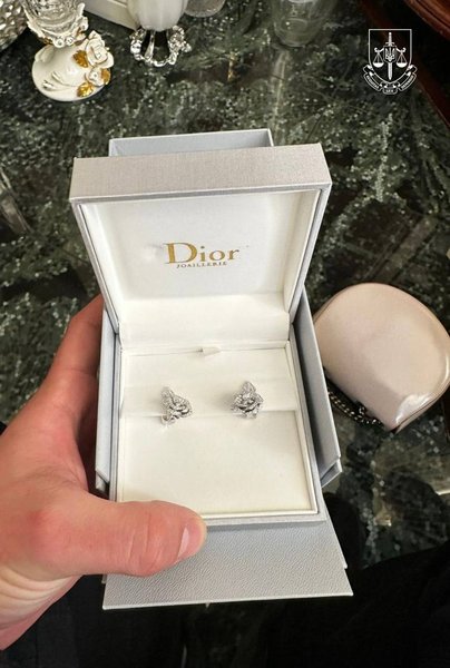 хабар, хабарництво, обшуки ДБР, незаконне збагачення