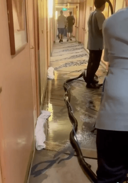 Супруги попали в шторм во время круиза, круизный лайнер, круиз, корабль мечты, годовщина свадьбы, сильный шторм, шторм,