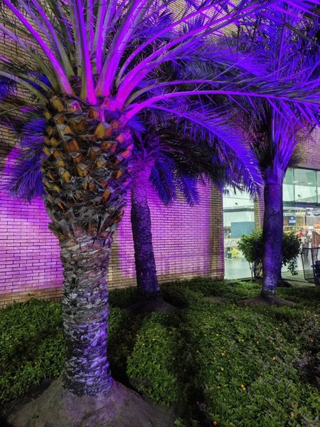 Infinix Note Edge фото Фото на Infinix Note Edge ночью