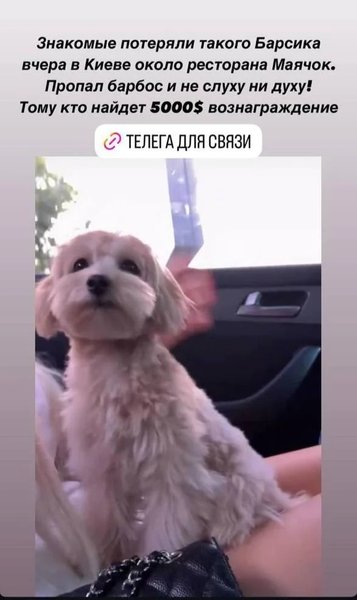 Bentley Bentayga дтп