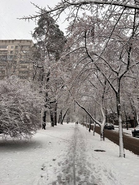 Київ, снігопад, негода, прогноз погоди