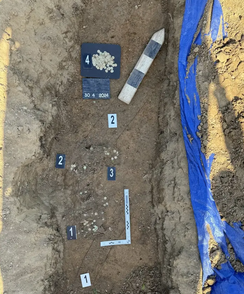 Старинные монеты, клад, находка, Чехия, археолог Филипп Велимский, артефакты, ценные вещи, фото