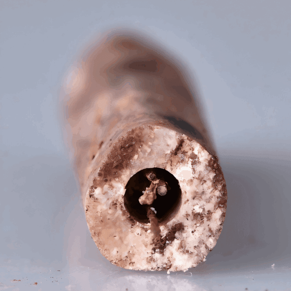 археологи обнаружили самые старые иглы для акупунктуры