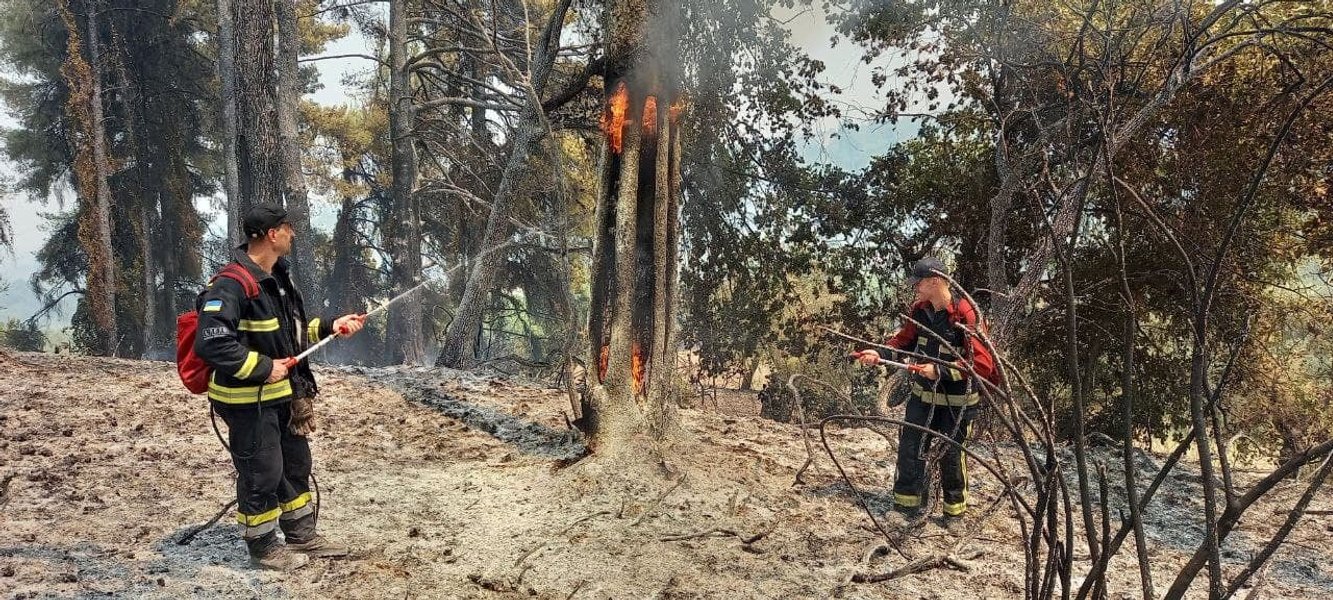 пожар в Греции, ГСЧС, пожарные, лесные пожары