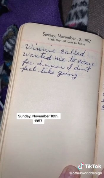 щоденник домогосподарки