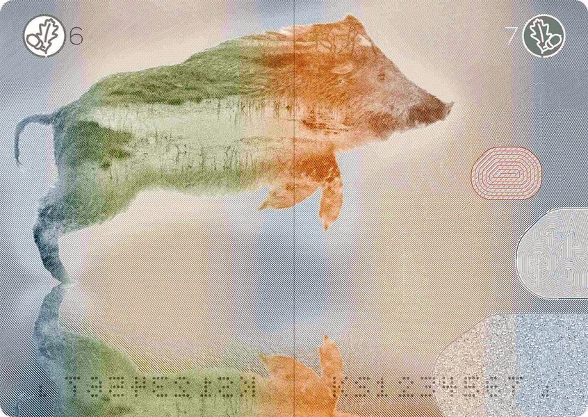 Эстония, паспорт, дизайн, ID-карточка, звери