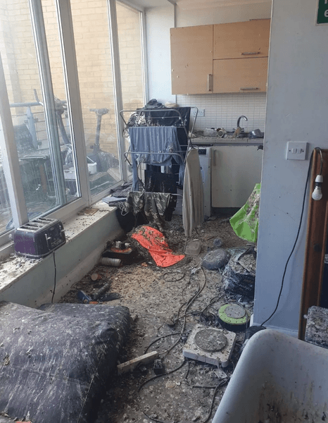 Голуби загадили квартиру, голуби, птицы, квартира, жильцы, забыли закрыть дверь, птицы в квартире, квартиранты, жилье, уборка