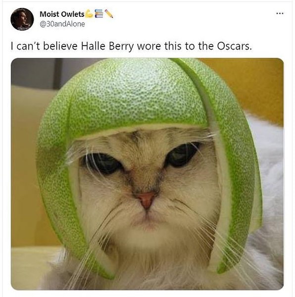 мем, Холли Берри, прическа