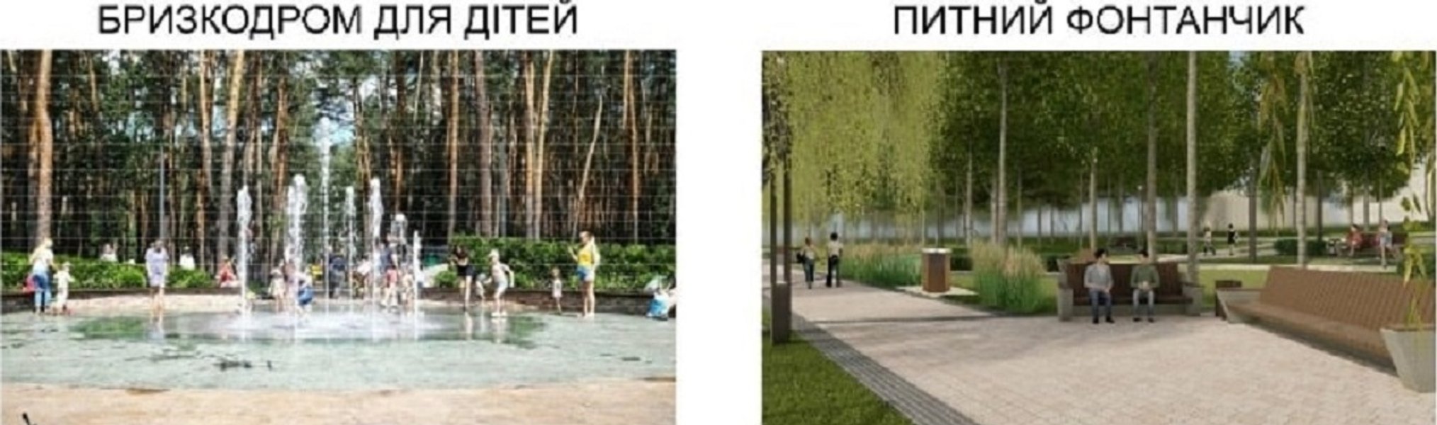 Голосеевский парк, Киев